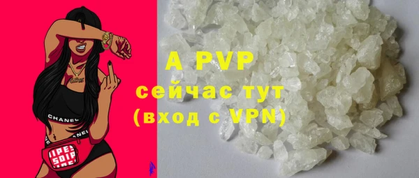 spice Бородино