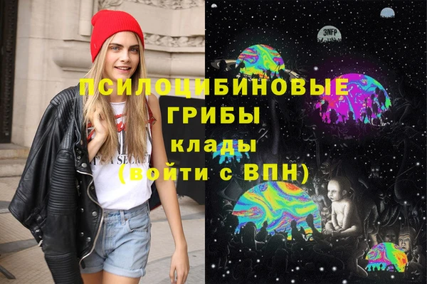 крисы Володарск
