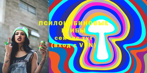 mix Вяземский