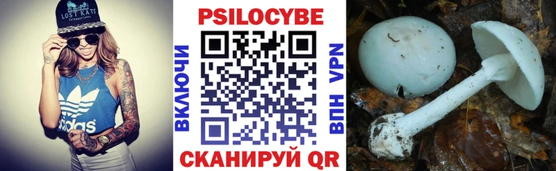 Псилоцибиновые грибы MAGIC MUSHROOMS  продажа наркотиков  Дрезна 